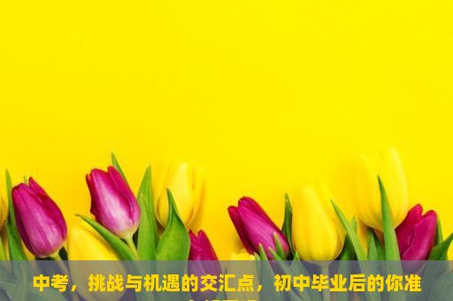 中考，挑战与机遇的交汇点，初中毕业后的你准备好了吗？