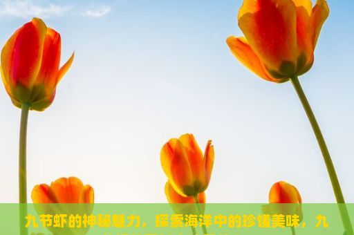 九节虾的神秘魅力，探索海洋中的珍馐美味，九节虾的烹饪方法是什么？