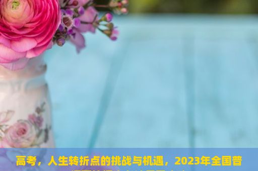 高考，人生转折点的挑战与机遇，2023年全国普通高校招生考试复习攻略