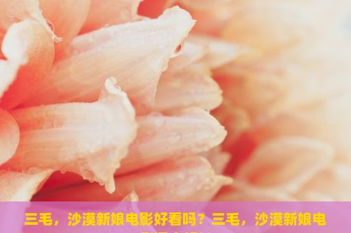 三毛，沙漠新娘电影好看吗？三毛，沙漠新娘电影深度解析