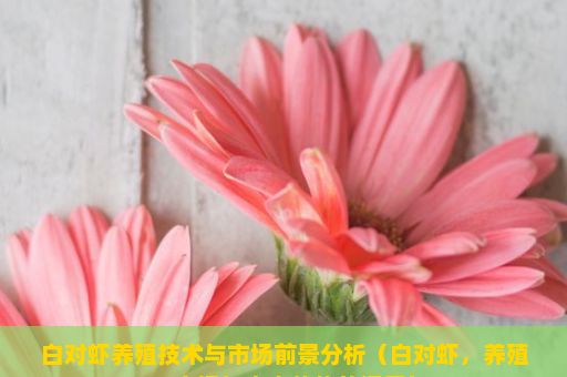 白对虾养殖技术与市场前景分析（白对虾，养殖、市场与未来趋势的探索）