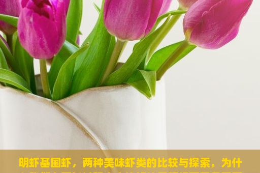 明虾基围虾，两种美味虾类的比较与探索，为什么我们在烹饪过程中会偏好使用明虾而不是基围虾？