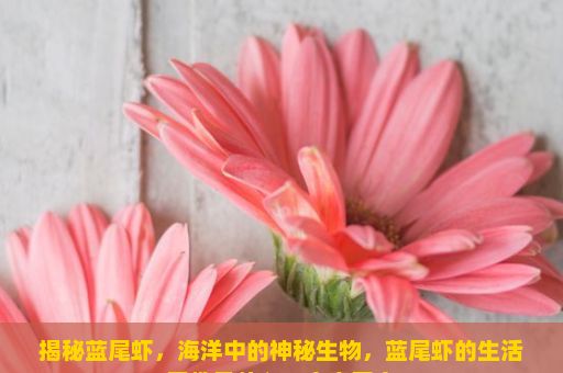 揭秘蓝尾虾，海洋中的神秘生物，蓝尾虾的生活习性是什么？文章正文