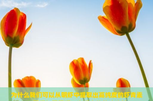 为什么我们可以从明虾中提取出高纯度的虾青素？明虾与基围虾，海洋中的美味佳肴