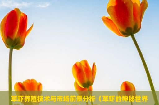 草虾养殖技术与市场前景分析（草虾的神秘世界，探索与发现）