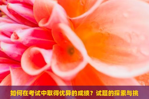 如何在考试中取得优异的成绩？试题的探索与挑战