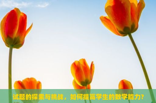 试题的探索与挑战，如何提高学生的数学能力？