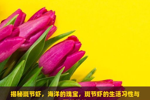 揭秘斑节虾，海洋的瑰宝，斑节虾的生活习性与营养价值