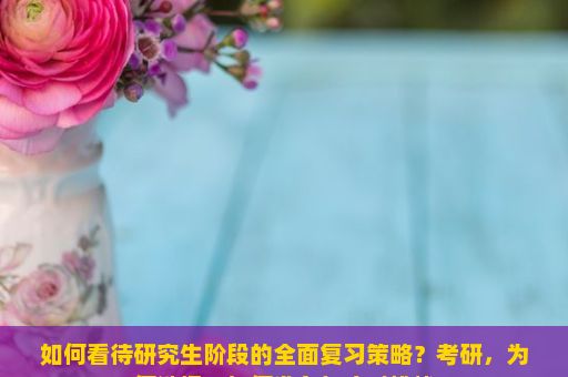 如何看待研究生阶段的全面复习策略？考研，为何选择、如何准备与应对挑战