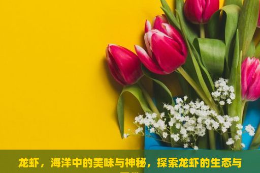 龙虾，海洋中的美味与神秘，探索龙虾的生态与习性