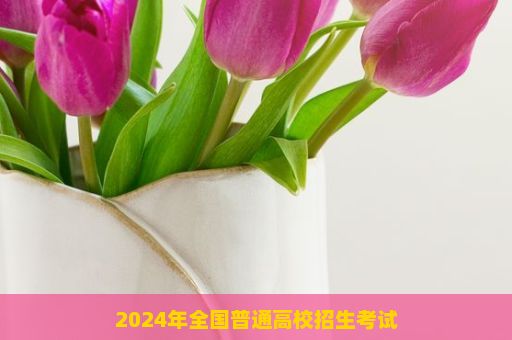 2024年全国普通高校招生考试