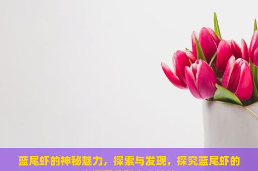 蓝尾虾的神秘魅力，探索与发现，探究蓝尾虾的生活习性和生态价值