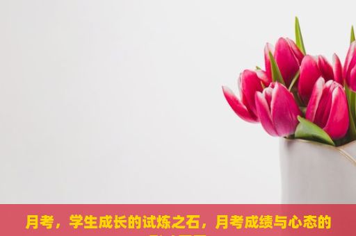 月考，学生成长的试炼之石，月考成绩与心态的影响因素