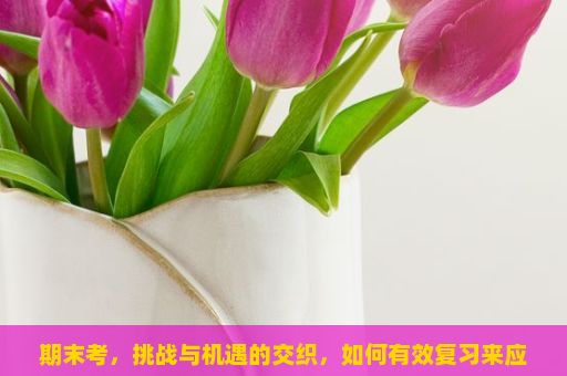 期末考，挑战与机遇的交织，如何有效复习来应对期末考？一份全攻略