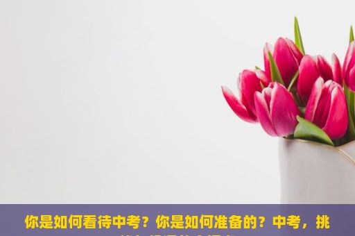 你是如何看待中考？你是如何准备的？中考，挑战与机遇的交汇点