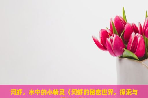 河虾，水中的小精灵（河虾的秘密世界，探索与保护之路）