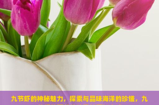 九节虾的神秘魅力，探索与品味海洋的珍馐，九节虾的营养价值及其烹饪方式