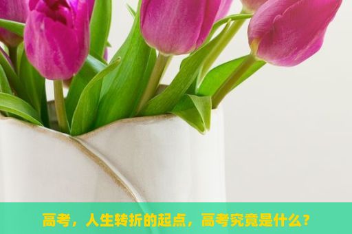 高考，人生转折的起点，高考究竟是什么？