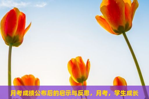 月考成绩公布后的启示与反思，月考，学生成长的试金石