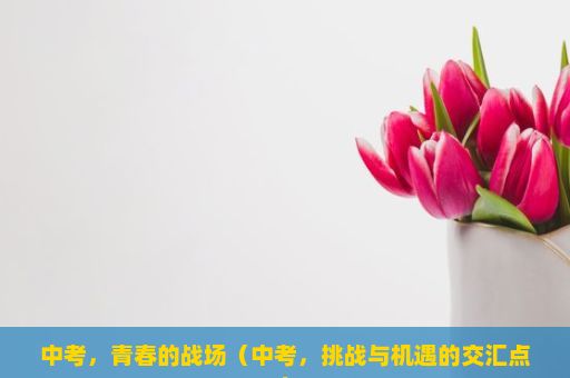 中考，青春的战场（中考，挑战与机遇的交汇点）