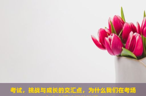 考试，挑战与成长的交汇点，为什么我们在考场上会出现这样的情况？