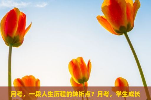 月考，一段人生历程的转折点？月考，学生成长的试炼与挑战