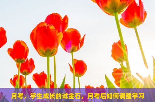 月考，学生成长的试金石，月考后如何调整学习状态和提高学习成绩