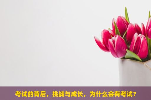 考试的背后，挑战与成长，为什么会有考试？