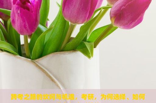 跨考之路的坎坷与机遇，考研，为何选择、如何准备与应对挑战