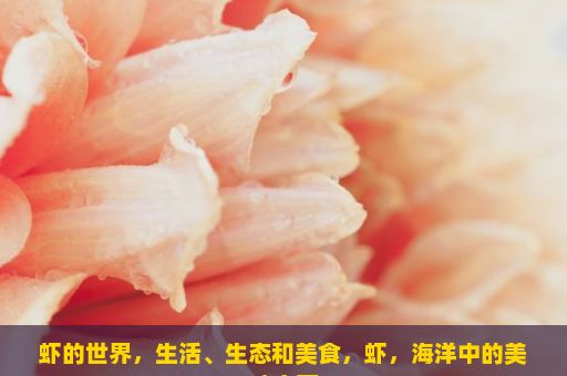 虾的世界，生活、生态和美食，虾，海洋中的美味宝藏