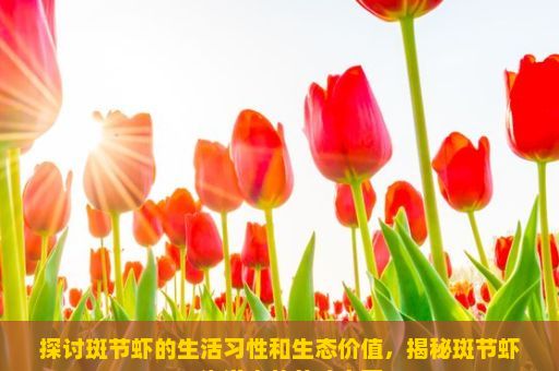 探讨斑节虾的生活习性和生态价值，揭秘斑节虾，海洋中的美味宝藏