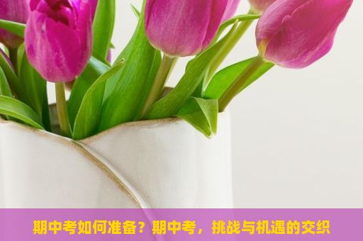 期中考如何准备？期中考，挑战与机遇的交织