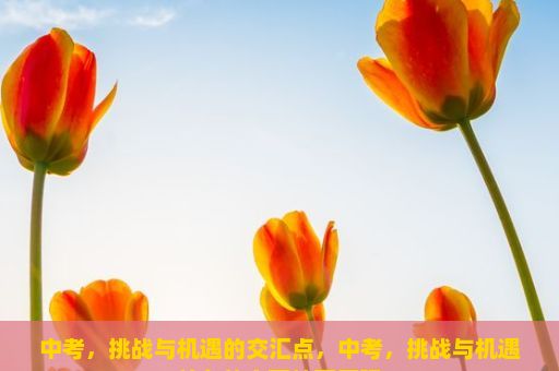 中考，挑战与机遇的交汇点，中考，挑战与机遇并存的全面教育历程