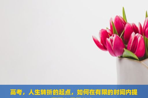 高考，人生转折的起点，如何在有限的时间内提高高考复习效率？