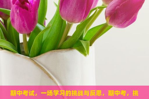 期中考试，一场学习的挑战与反思，期中考，挑战与成长