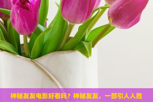 神秘友友电影好看吗？神秘友友，一部引人入胜的视觉盛宴