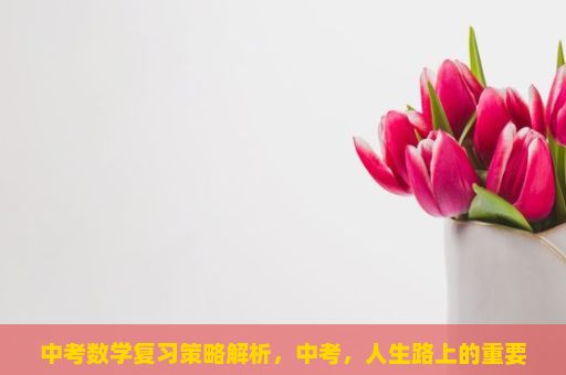 中考数学复习策略解析，中考，人生路上的重要转折点