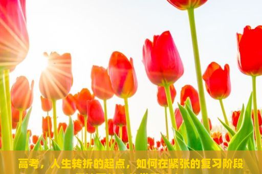 高考，人生转折的起点，如何在紧张的复习阶段保持高效率的学习状态？