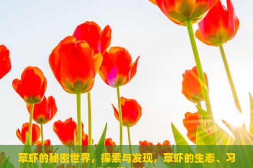 草虾的秘密世界，探索与发现，草虾的生态、习性和营养价值