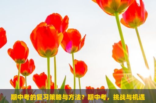 期中考的复习策略与方法？期中考，挑战与机遇的交织