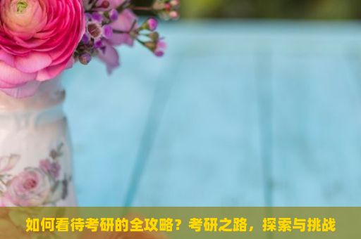 如何看待考研的全攻略？考研之路，探索与挑战