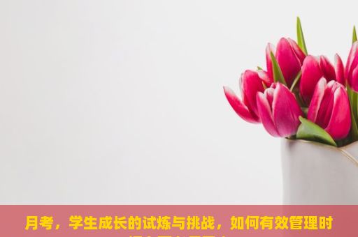 月考，学生成长的试炼与挑战，如何有效管理时间在高考复习中