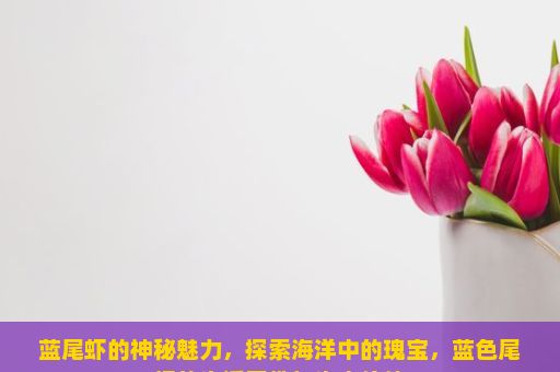 蓝尾虾的神秘魅力，探索海洋中的瑰宝，蓝色尾虾的生活习性与生态价值