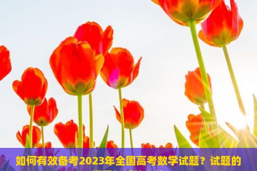 如何有效备考2023年全国高考数学试题？试题的探索与解答之旅