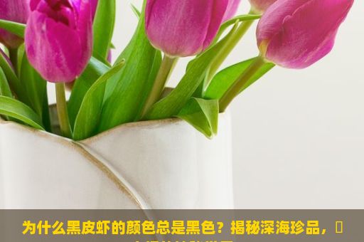 为什么黑皮虾的颜色总是黑色？揭秘深海珍品，黒皮虾的神秘世界