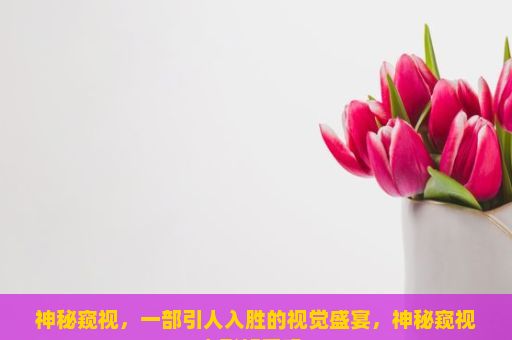 神秘窥视，一部引人入胜的视觉盛宴，神秘窥视电影好看吗？