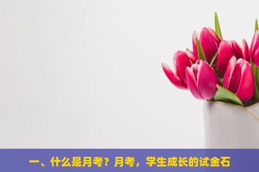 一、什么是月考？月考，学生成长的试金石