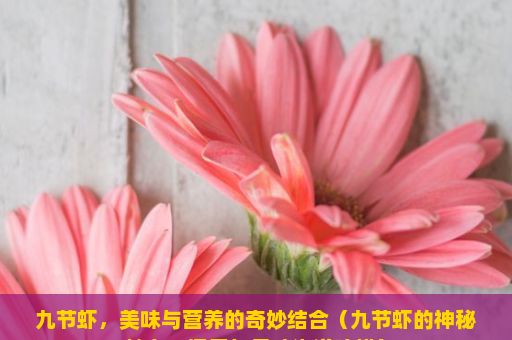 九节虾，美味与营养的奇妙结合（九节虾的神秘魅力，探索与品味海洋珍馐）