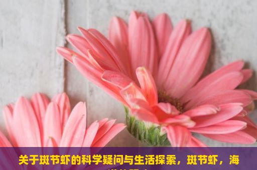 关于斑节虾的科学疑问与生活探索，斑节虾，海洋的明珠