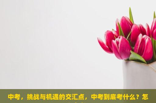 中考，挑战与机遇的交汇点，中考到底考什么？怎么备考？